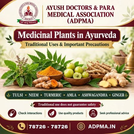 Medicinal Plants in Ayurveda: Traditional Uses and Important Precautions